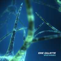 2013 - Afterthought