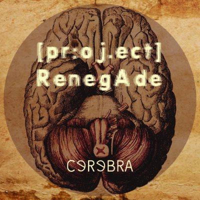 2017 - Cerebra